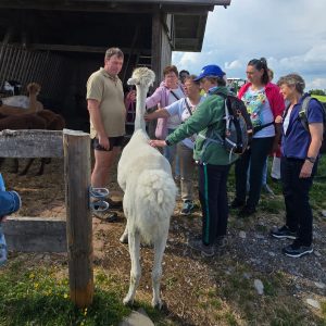 Schloss, Schifffahrt und Eselfarm – ein wundervoller Tag